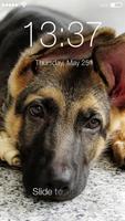 Real German Shepherd PIN HD Lock Screen Keypad poster