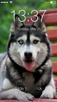 Siberian Husky Puppies Screenlock –PIN Lock Screen постер