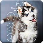 Siberian Husky Puppies Lock & AppLock Security icône