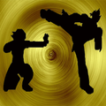 ”Ultimate Fighter