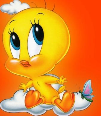 Android 用の Tweety Cute Hd Wallpaper Apk をダウンロード