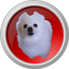 Bork Board icon