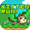 Kitten Run!