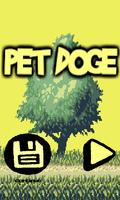 Pet Doge poster