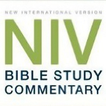 Bible NIV with Commentary
