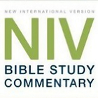 Bible NIV with Commentary icône