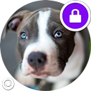 Fluffy Pitbull Dogs Security Lock Screen APK