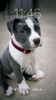 Fluffy Pitbull Dogs Security Lock Screen screenshot 1