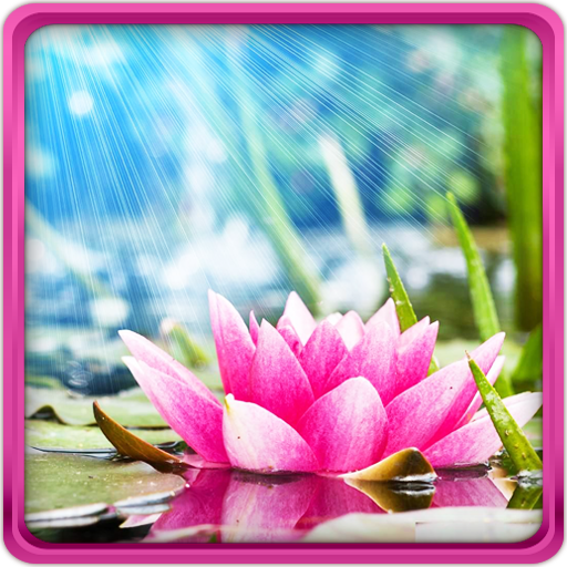 Lotus Live Wallpaper APK for Android – Download Lotus Live Wallpaper APK Latest Version from Lotus Live Wallpaper APK for Android – Download Lotus Live Wallpaper APK Latest Version from