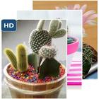 Lovely Cactus Wallpaper Zeichen