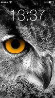 Owl Mystenious HD PIN Screen Locker 포스터