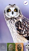 Owl Mystenious HD PIN Screen Locker capture d'écran 2