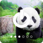 Little Panda PIN Lock Screen icône