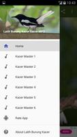 Latih Burung Kacer Gacor MP3 Ekran Görüntüsü 3