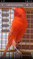 Latih Burung Kenari Gacor MP3 Ekran Görüntüsü 1