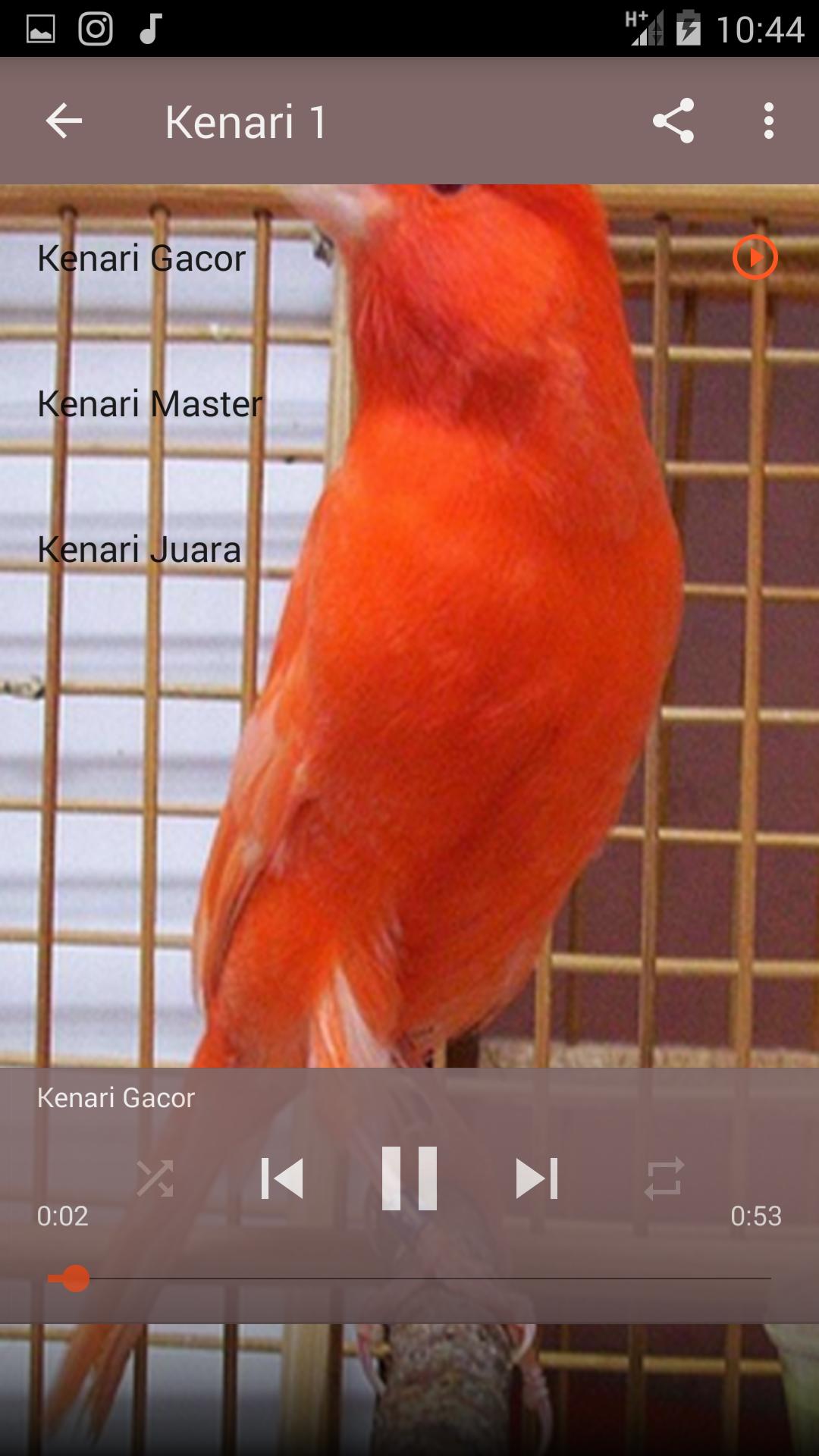 Latih Burung Kenari Gacor Mp3 Pour Android Telechargez L Apk