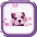 Puppy Live Wallpaper aplikacja