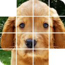 puppy puzzles game APK
