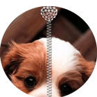 ikon Puppy Dog Zipper LockScreen