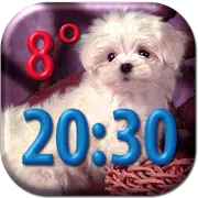 Puppies Clock Weather Widget