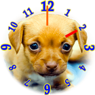 子犬の時計ウィジェット アイコン