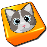 정글팝(Jungle Pop)