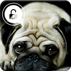 Little Pug Dog Puppy Kawaii Wallpaper Screen Lock icon