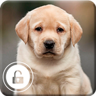 Labrador Cute Dog Kawaii Puppy  Screen Lock иконка
