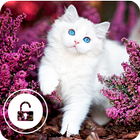 Little Funny Cat Kitten Cute Wallpaper App Lock أيقونة