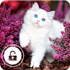 Little Funny Cat Kitten Cute Wallpaper App Lock icon