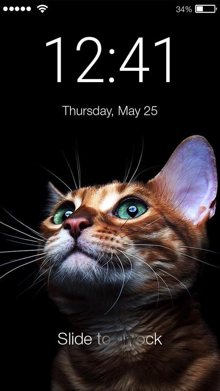 Little Funny Cat Kitten Cute Wallpaper App Lock For Android Apk
