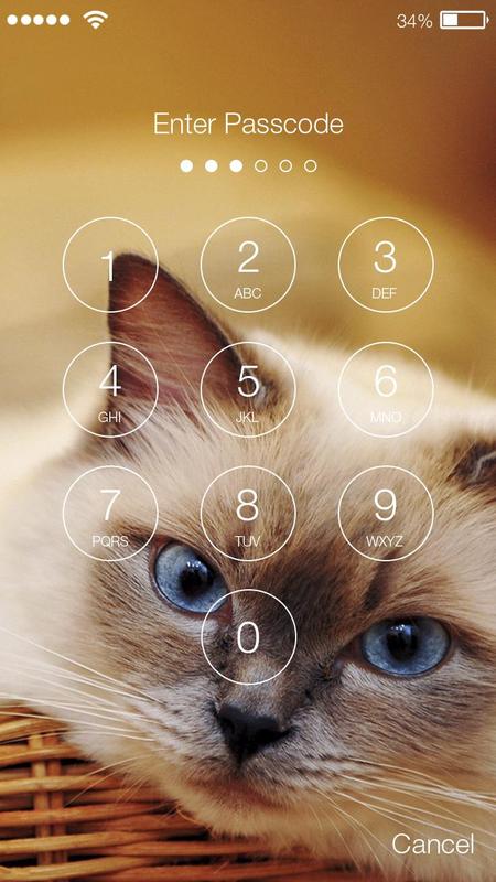 Little Funny Cat Kitten Cute Wallpaper App Lock For Android Apk