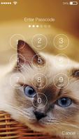 Little Funny Cat Kitten Cute Wallpaper App Lock screenshot 1