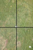 Poster Putt Shaver