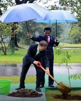 برنامه‌نما Puzzle Jokowi My President Blast عکس از صفحه