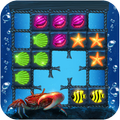 Block Puzzle : pop bubble
