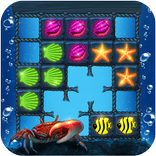 Block Puzzle : pop bubble