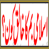 Pakistani Atomic Bomb Reality أيقونة