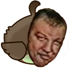 Pahom Bird icon
