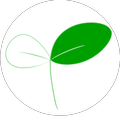 photosynthesis game