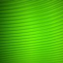 Green Background Wallpaper APK