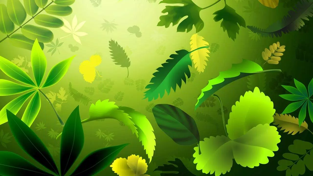 Green Background Wallpaper là lựa chọn hoàn hảo cho những người yêu thích màu sắc xanh lá cây. Với những hình ảnh này, bạn có thể thay đổi không gian hiện tại của mình thành một không gian xanh mát, tươi trẻ và thú vị. Hãy thử tìm kiếm các hình nền Green Background Wallpaper để tạo ra một nơi làm việc sáng tạo và ấn tượng.