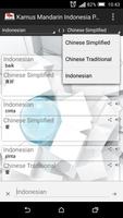 Indonesian Mandarin Dictionary Ekran Görüntüsü 1