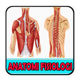 Anatomi Fisiologi Manusia icône