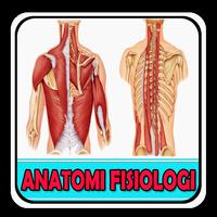 Anatomi Fisiologi Manusia Plakat