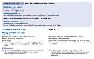 Nursing Care Plans Free اسکرین شاٹ 1