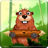 Beaver builder