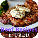Beef Recipes in URDU APK