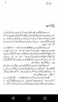 Darbar e Dil Urdu Novel capture d'écran 3