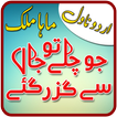 Jo Chalay to Jaan se Guzar Gay by Maha, Urdu Novel